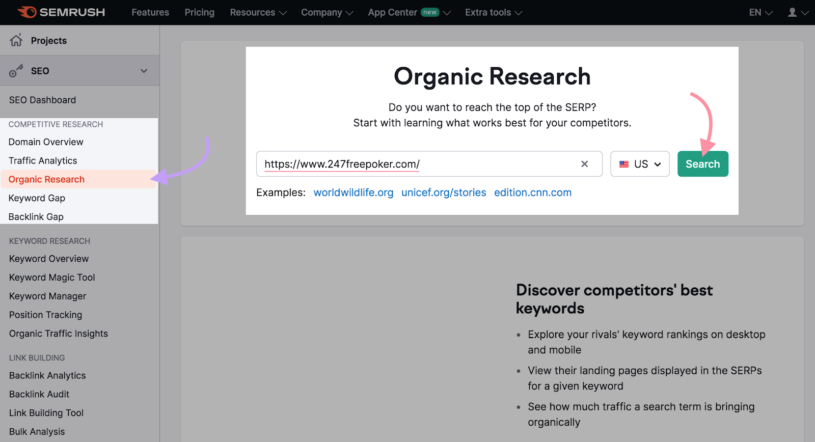 Organic Rankings tool